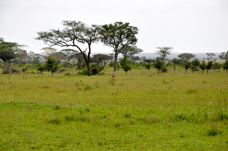 Melanie Heinrich Travel Images Africa